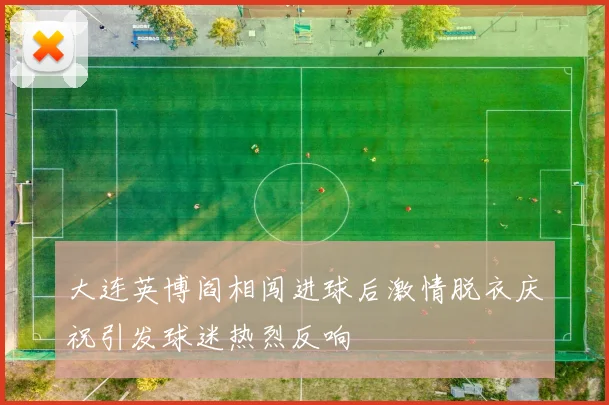 大连英博阎相闯进球后激情脱衣庆祝引发球迷热烈反响